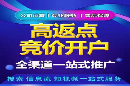 百度竞价案例分析：成功秘诀